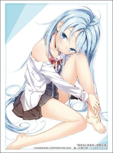 『電撃文庫 電波女と青春男』 ブシロード スリーブコレクション ハイグレード Vol.4046 『藤和エリオ』Part.2